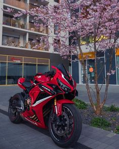 a red motorcycle parked next to a tree with pink flowers in front of a building