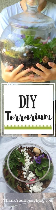 there is a sign that says diy terrarium in front of a plate full of plants