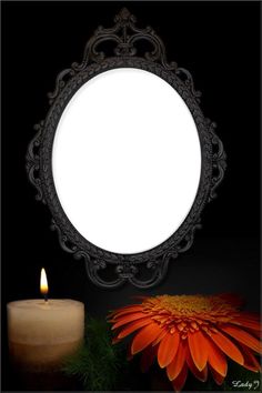 an orange flower sitting next to a lit candle in front of a round mirror on a black background