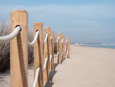 an elephant's trunk sticking out from behind a wooden fence on the sand at the beach