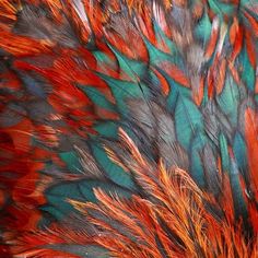 an abstract painting of red and orange feathers