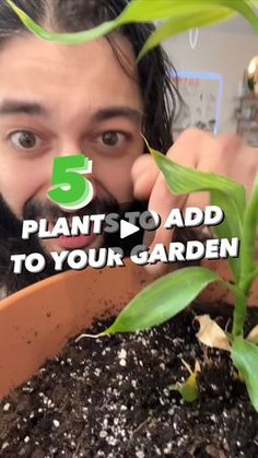 a man holding up a plant with the words 5 plants to add to your garden