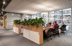 two people sitting at desks in an office setting with plants on the wall and large windows