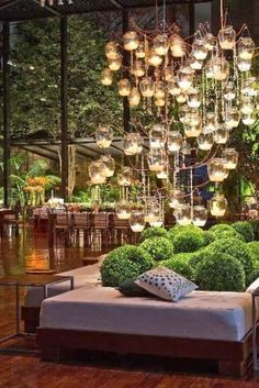 a living room filled with lots of plants and lights