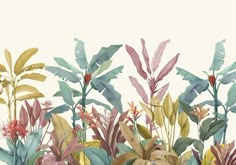 an illustration of tropical plants and flowers on a white background