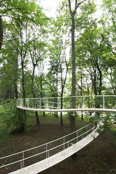 a white walkway in the middle of a forest