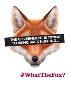 a fox with a sign that says, the government is trying to bring back hunting