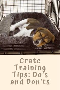 a dog sleeping in a crate with the words create training tips and don't's