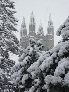 snow covered trees in front of a large building with spires on it's sides