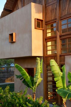 the house is made of wood and has many windows on each side, along with plants