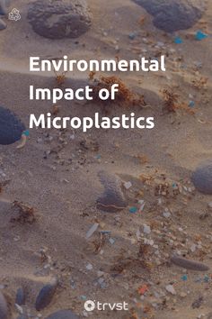 the cover of environmental impact of microplastics, with rocks and sand in the background