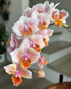 some pink and yellow flowers on a tree branch in front of a stairway way with stairs