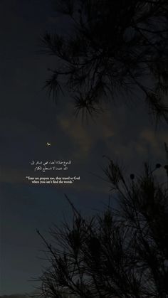 Night Vibes Aesthetic Wallpaper, Islamic Arabic Quotes, Night Vibes Quotes, Allah Quotes Aesthetic, Islamic Wallpaper Quotes, Quran Verses Wallpaper, Islamic Quotes Aesthetic, Alhamdulillah Quotes