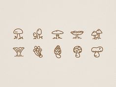 the different types of mushrooms are drawn in brown ink on a white background, and each mushroom has an individual's own outline