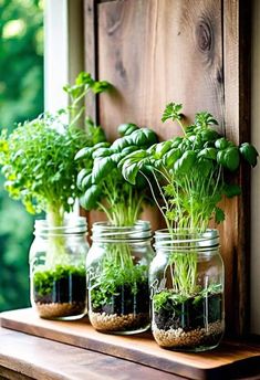 three mason jars filled with plants sitting on top of a window sill next to a wooden