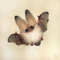 a drawing of a bat hanging upside down on the ground with its wings spread out