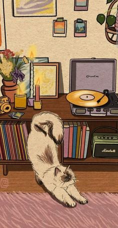 a cat laying on the floor in front of a table with record players and other items