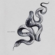 a black and white drawing of a snake