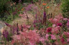 an assortment of colorful flowers and plants in a garden with gravel path leading to it