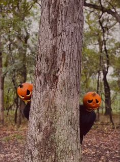 two jack o lantern pumpkins are hanging from the trunk of a tree