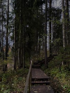 a wooden path in the woods leading up to some stairs that are made out of wood