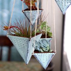 three hanging planters with succulents and plants in them on a string