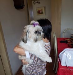 a woman holding a small dog in her arms