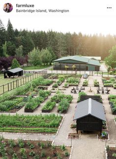 an aerial view of a farm with many plants