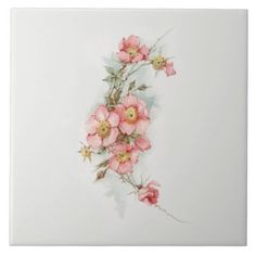 a painting of pink flowers on a white background