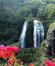 a waterfall with pink flowers in the foreground and trees on the other side, surrounded by greenery