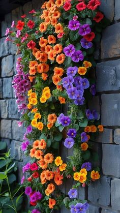 colorful flowers growing on the side of a brick wall