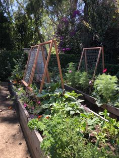 a garden filled with lots of different types of plants and vegetables next to each other