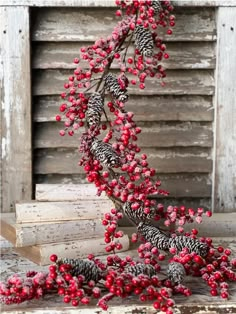 red berries and pine cones are hanging from a branch in front of an old door