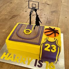 a birthday cake made to look like a basketball court and jersey with the number 23 on it