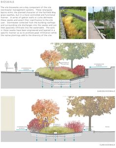 three different views of trees and benches in the park, with people walking on the sidewalk