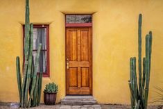 a yellow building with a wooden door surrounded by cacti