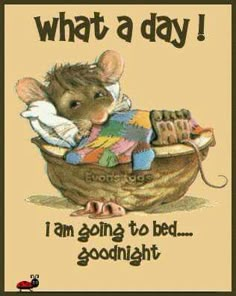 a card with an image of a mouse in a boat that says, what a day i'm going to bed goodnight