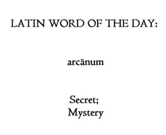 Latin Language, Latin Phrases, Uncommon Words, Tumblr Page, Fancy Words, Latin Word, Raven Cycle, Weird Words