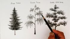 a hand holding a pencil and drawing trees on a white sheet with black ink, which reads pine tree birch tree seats four