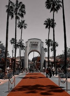 a red carpet is on the ground in front of palm trees and a building with a large archway