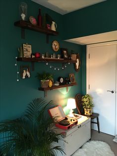 a room with green walls and shelves filled with plants