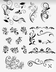 an assortment of black and white floral designs