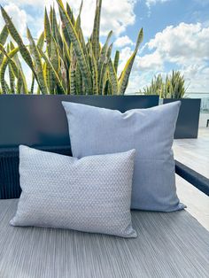 two pillows sitting on top of a couch next to plants