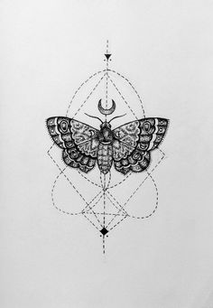 a drawing of a moth with geometric shapes