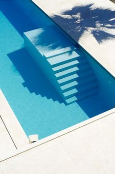 an empty swimming pool next to a palm tree