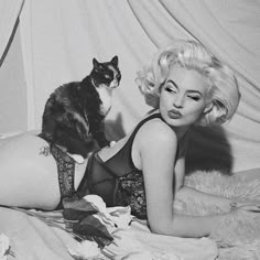 Gia Genevieve, Black Cat Aesthetic, Allergic To Cats, Cat Seat, Marilyn Monroe Photos, Lingerie Photos, Photoshoot Themes