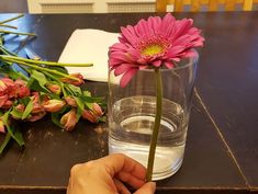 a person holding a pink flower in front of a vase with water and flowers on the table