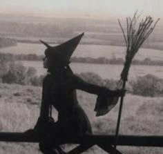 a woman sitting on top of a fence holding a broom