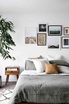 a bed with many pictures on the wall above it and a plant next to it