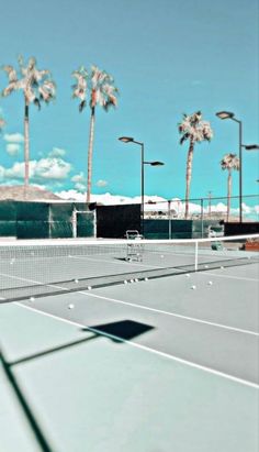 a tennis court with palm trees in the background and an empty bench on the side